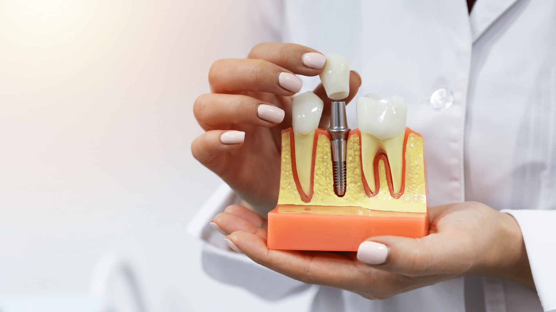 tooth model for learning